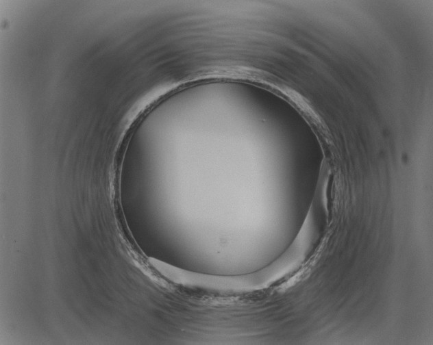 X0000082690846200702091655