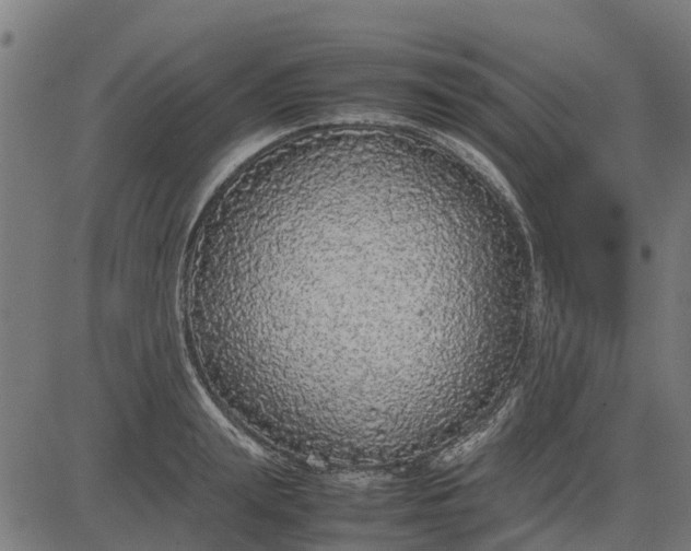 X0000082690847200702091655