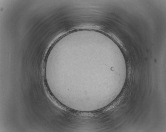 X0000082690848200702091655