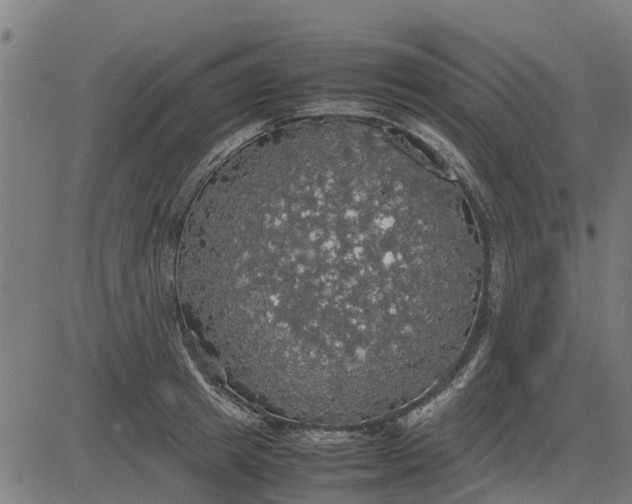 X0000082690849200702091655