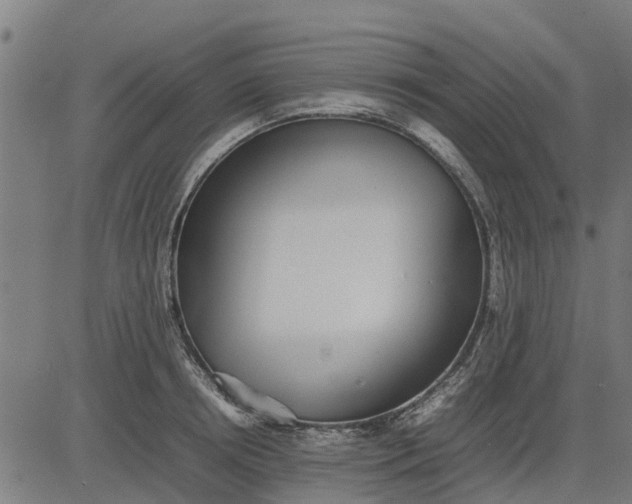 X0000082690850200702091655