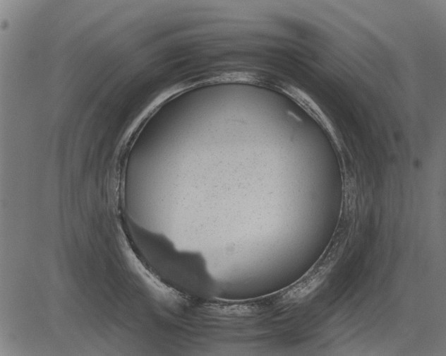 X0000082690851200702091655