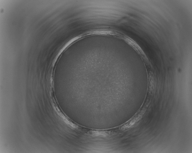 X0000082690852200702091655