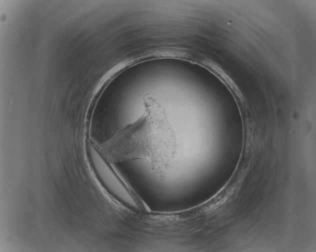 X0000082690853200702091655