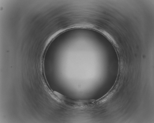 X0000082690854200702091655