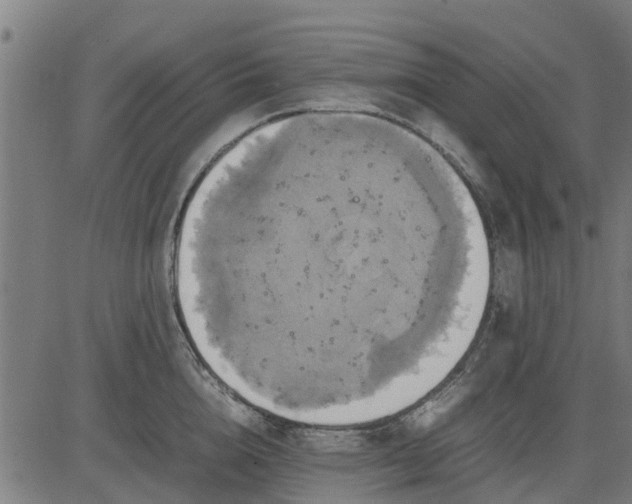 X0000082690856200702091655