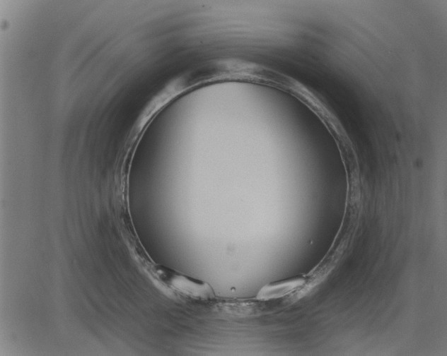 X0000082690858200702091655