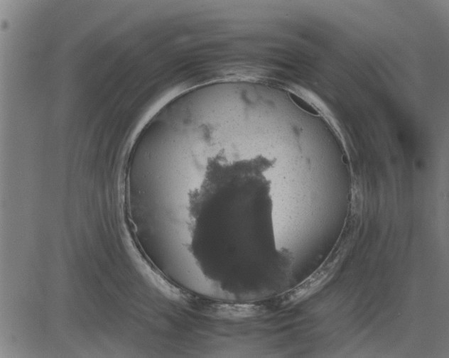 X0000082690859200702091655