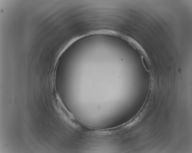 X0000082690860200702091655