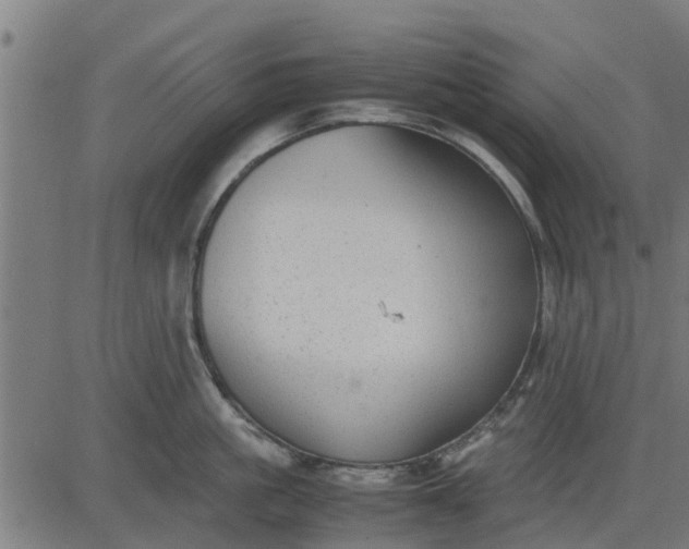 X0000082690861200702091655