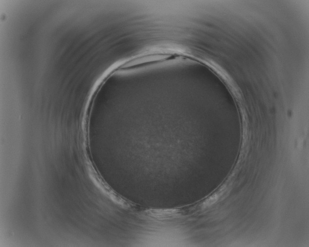 X0000082690864200702091656