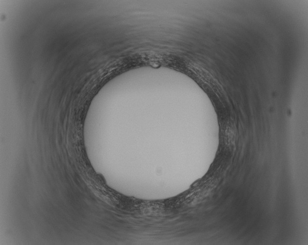 X0000082690865200702091655