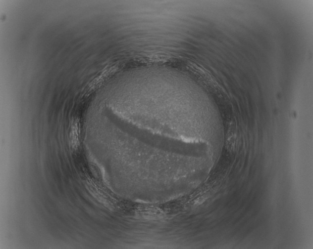 X0000082690866200702091655