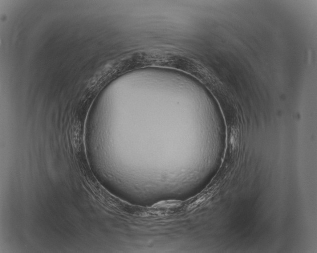 X0000082690867200702091655