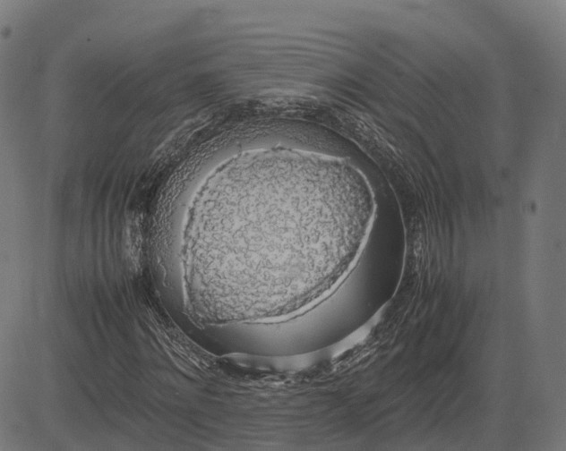 X0000082690868200702091655