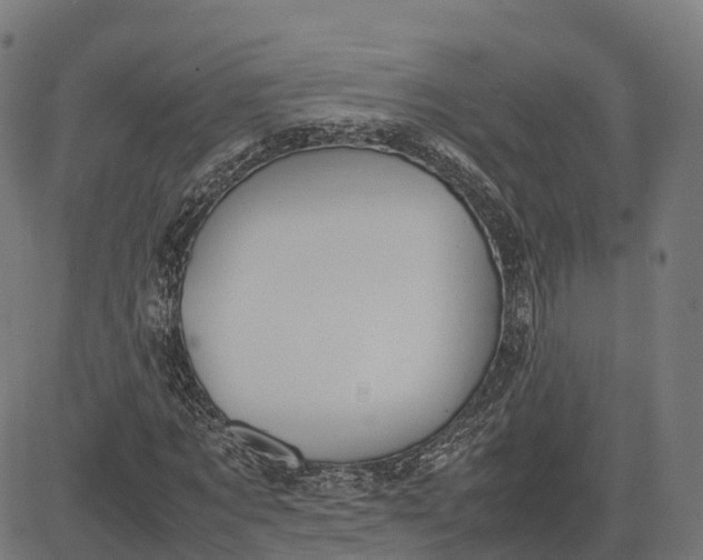 X0000082690869200702091655