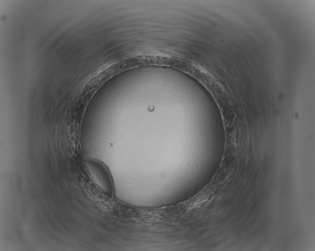 X0000082690870200702091655