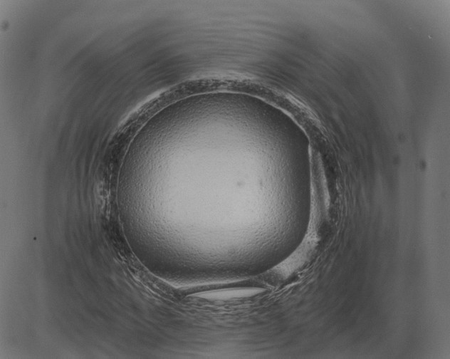 X0000082690872200702091655