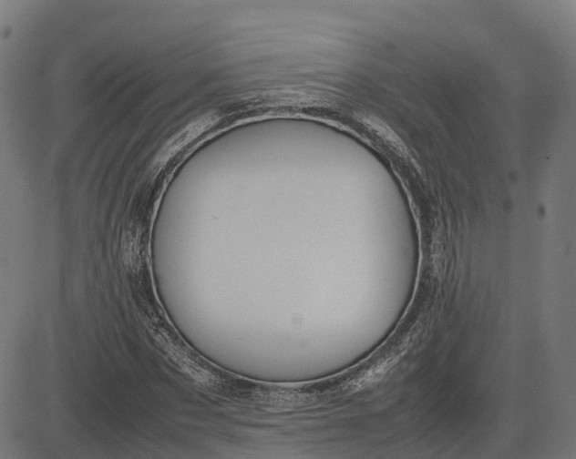 X0000082690873200702091655