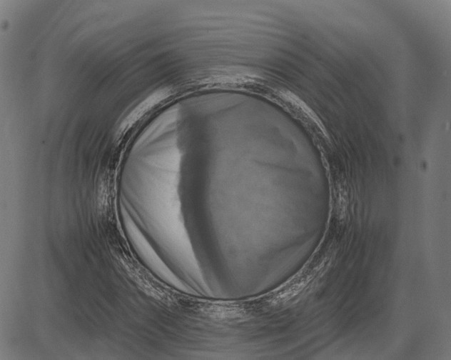 X0000082690874200702091655