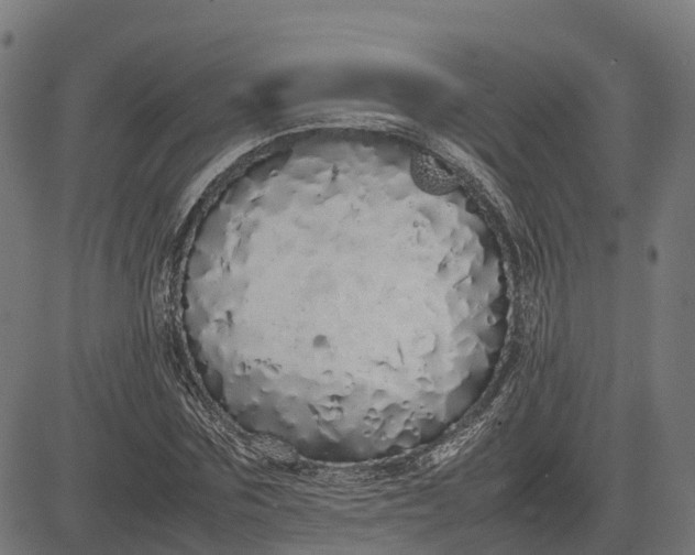 X0000082690875200702091655