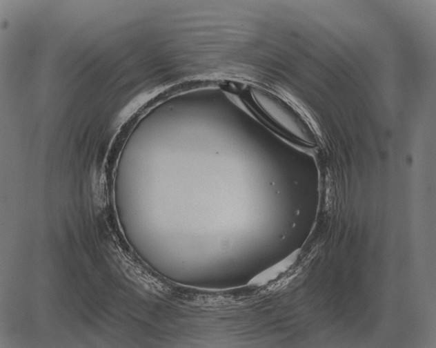 X0000082690876200702091655