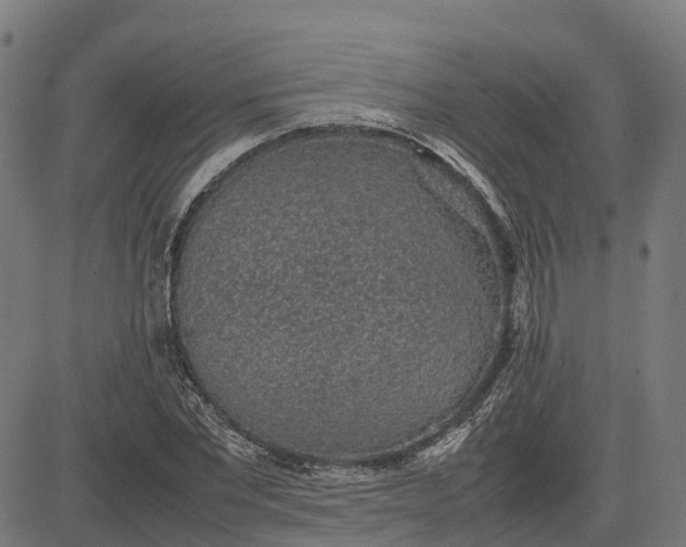 X0000082690877200702091655