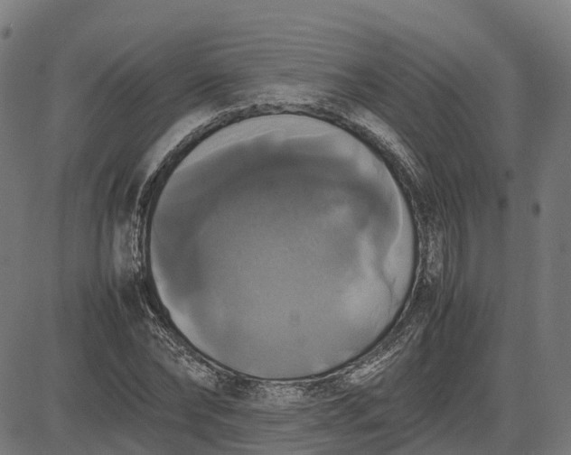 X0000082690878200702091655