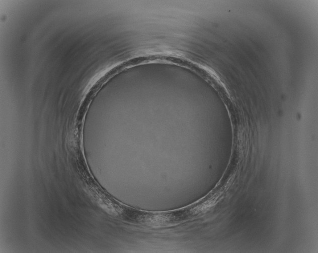 X0000082690879200702091655