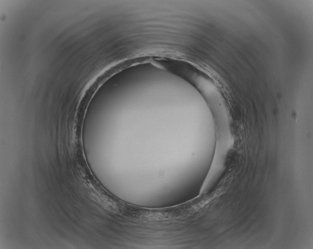 X0000082690880200702091655