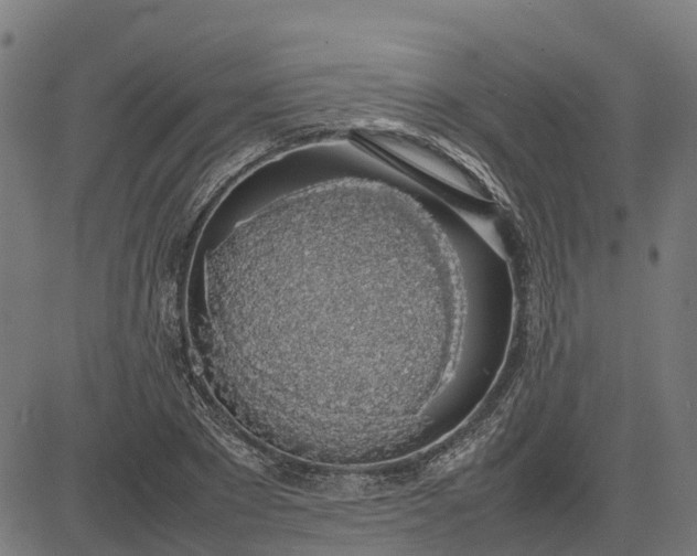 X0000082690881200702091654