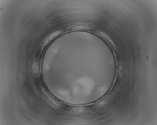 X0000082690882200702091654