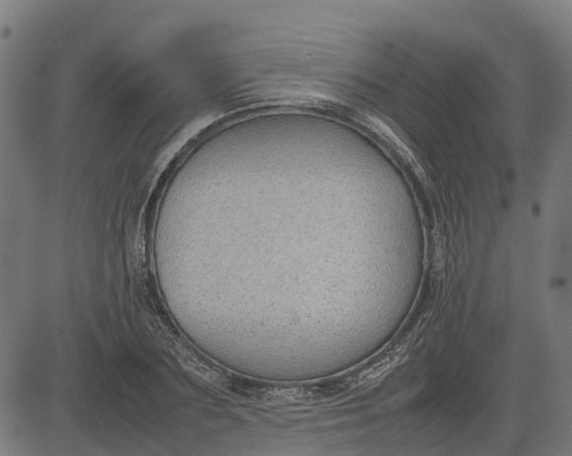 X0000082690883200702091654