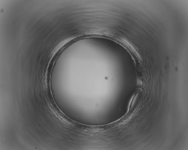 X0000082690884200702091654