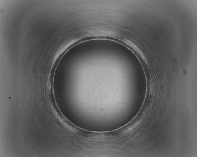 X0000082690885200702091654