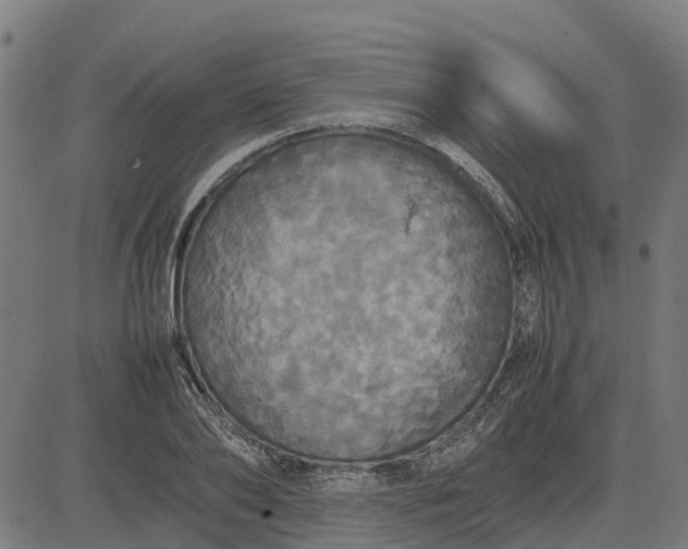 X0000082690886200702091654