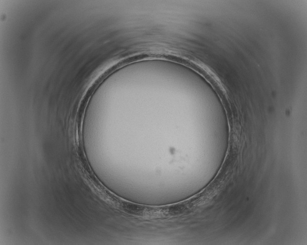 X0000082690887200702091654