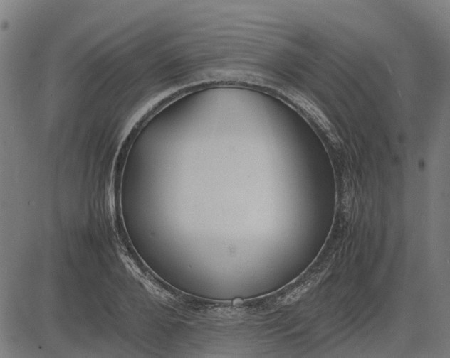 X0000082690888200702091654