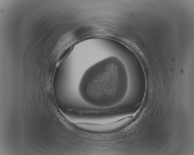 X0000082690889200702091654