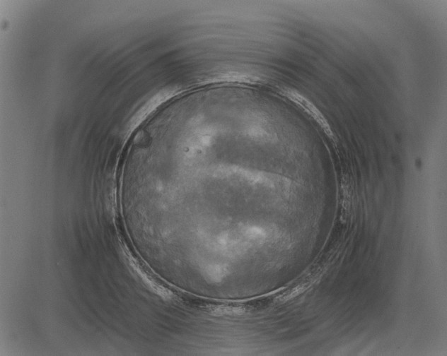 X0000082690890200702091654