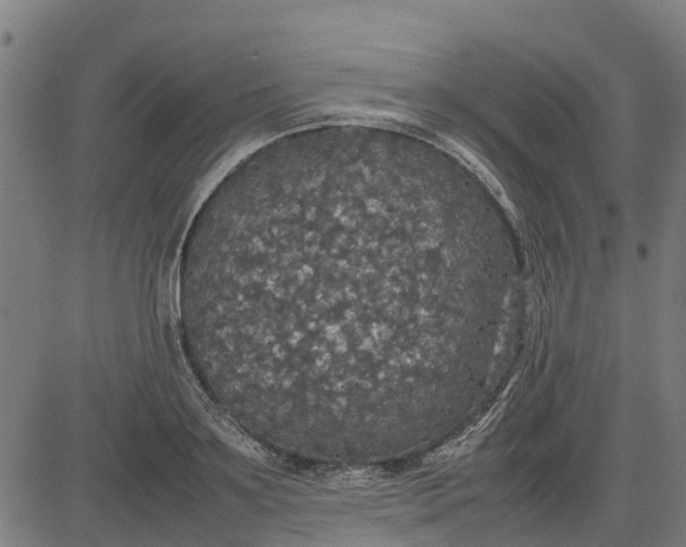 X0000082690891200702091654