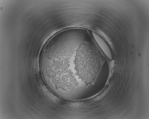 X0000082690892200702091654