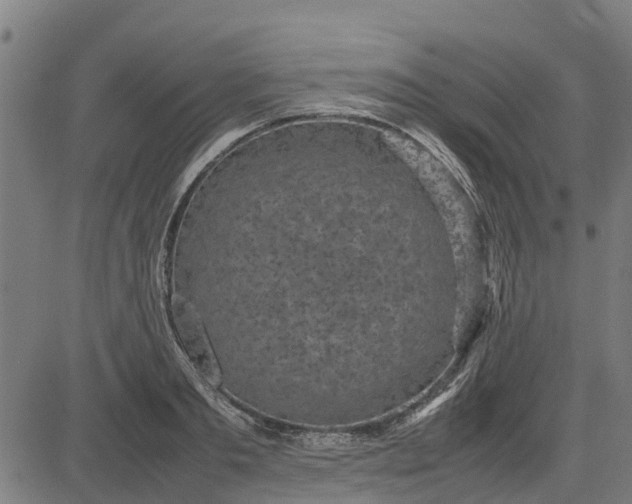 X0000082690893200702091654