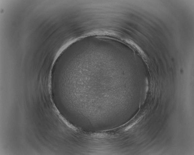 X0000082690894200702091654