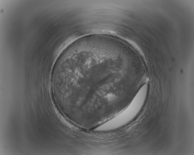 X0000082690895200702091654