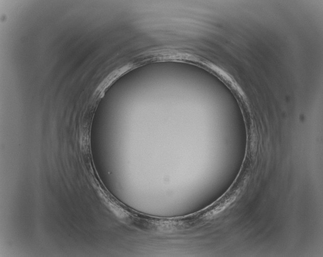 X0000082690897200702091654