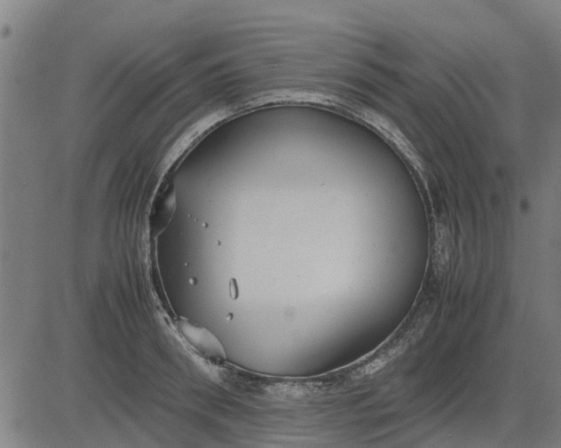 X0000082690898200702091654