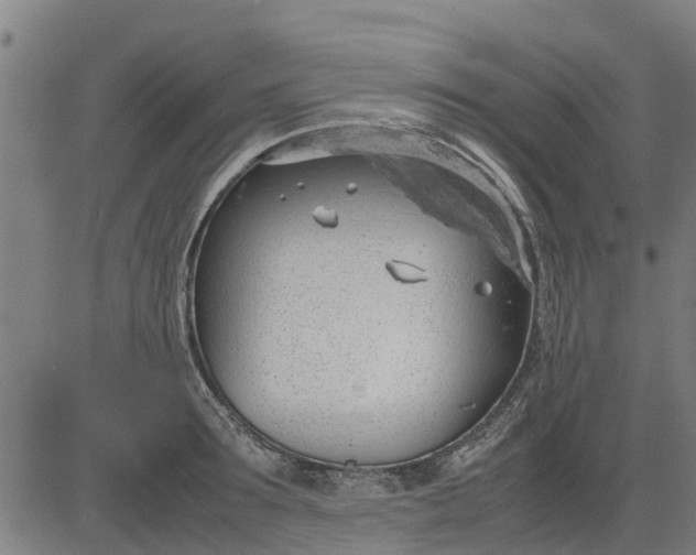 X0000082690899200702091654