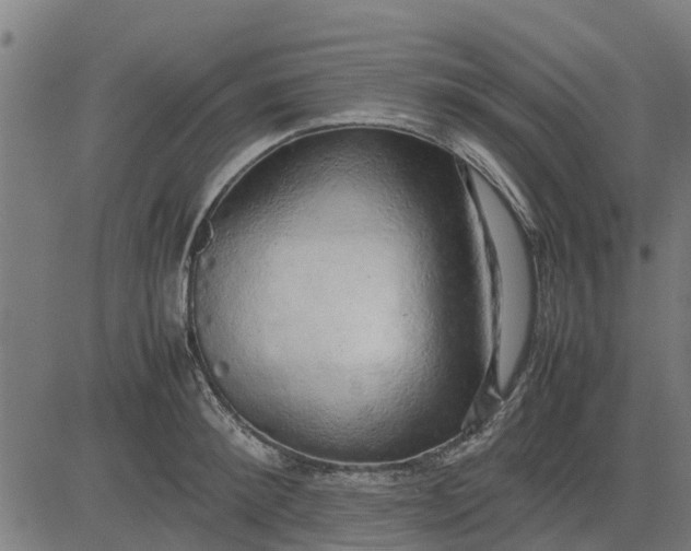 X0000082690900200702091654