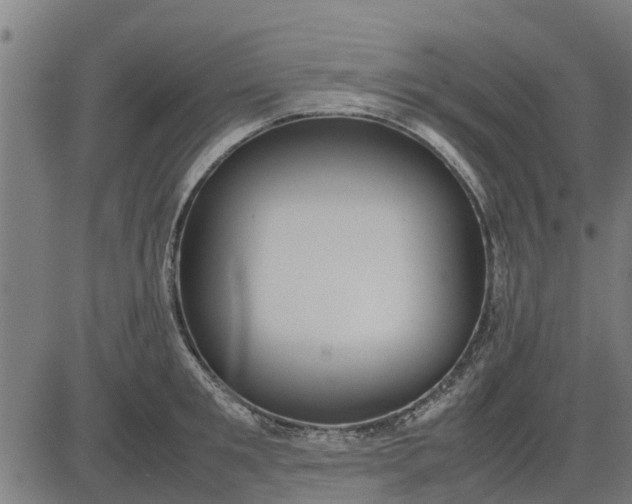 X0000082690901200702091654